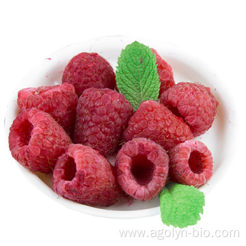 High Nutrition Natural Red Dried Raspberry